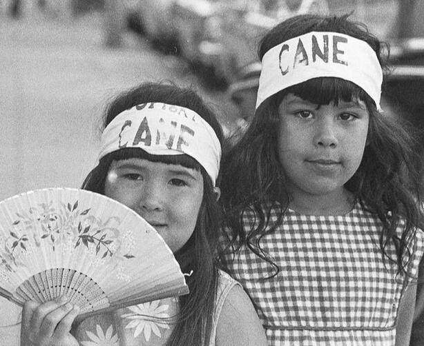 Two Young Supporters